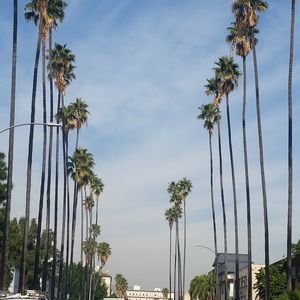 Meet your Posher, Sunyoung